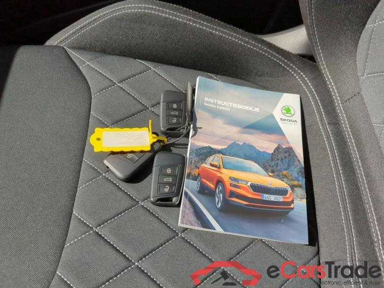SKODA Karoq 110 kW #6