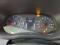 preview Renault Master #5