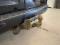 preview Ford Transit Custom #3