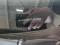 preview Volkswagen up! #1