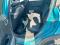 preview Citroen C3 #2