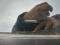 preview Opel Mokka #2