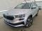 preview Skoda Karoq #0