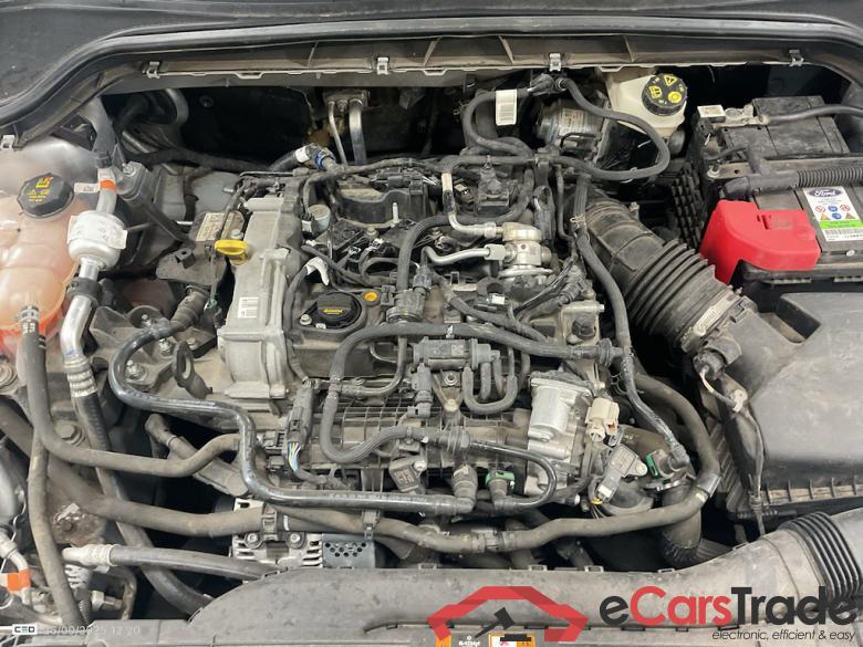 FORD FOCUS 1.0I ECOBOOST MHEV 92KW CONNECTED #6