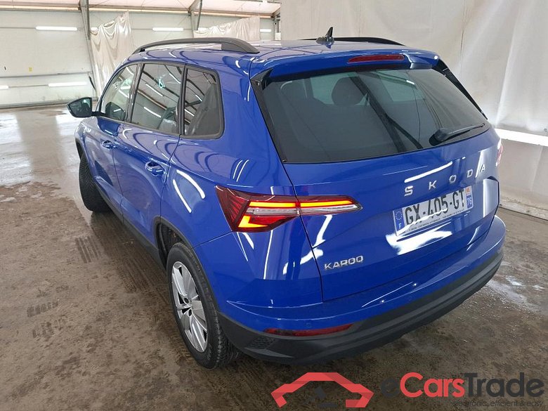 Karoq Selection 2.0 TDI 115CV BVM6 6E #2