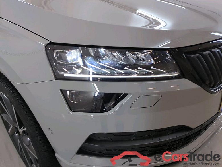 SKODA Karoq 110 kW #4