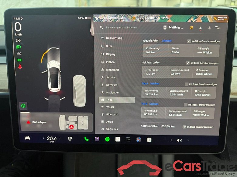 TESLA Model 3 Langstreckenbatt. Allradantrieb Dual Motor Performance 4d 377kW #6