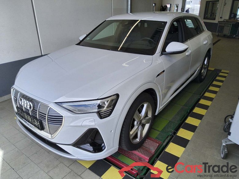 Audi e-tron (GEN)(01.2019->) DE - SUV5 50 quattro, S line, 2019 - 2023