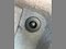preview BMW 740 #5