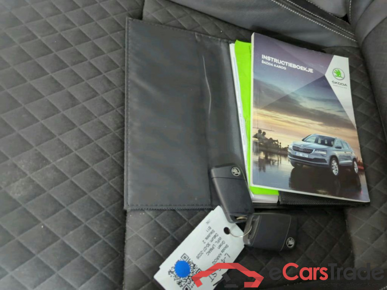 SKODA Karoq 110 kW #6