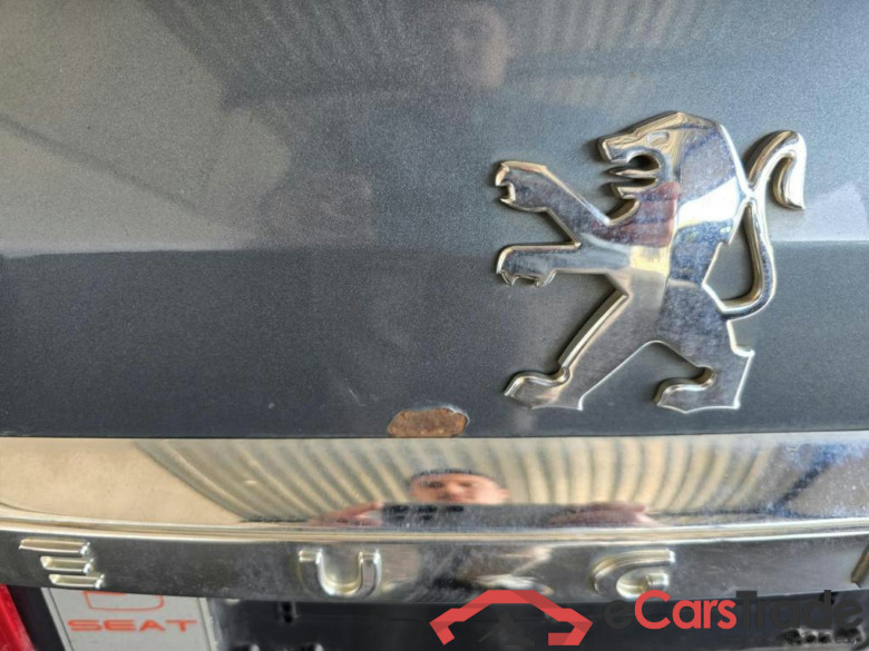 PEUGEOT 407 SW Dsl 407 SW 2.0 HDi Féline #5