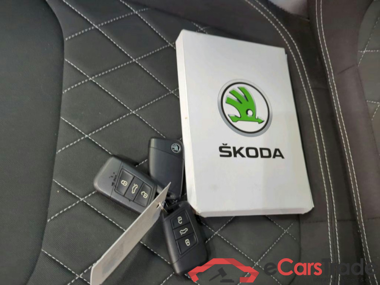 SKODA Karoq 110 kW #6