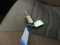 preview Iveco Daily #3