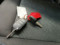 preview Peugeot Rifter #3